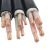 绿水青山电线电缆 YJV-0.6/1KV 3*25 平方铜芯全项保检国标电力电缆 1米（30米起定）