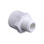 联塑外丝直通PVC给水管配件接头 白色20*1/2(4分管4分丝口)