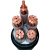 铜芯国标阻燃ZR-YJV2 3 4 5芯10 16 25 35平方护套电缆线电线 铜芯国标3芯10平方每10米