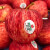 【JD&顺丰】新西兰姬娜苹果多地次日达 红苹果冰糖心脆甜苹果礼盒 精选 12枚礼盒装