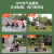暴风骑士儿童电动摩托车两轮电动车6-12岁童车代步车电动平衡车复古小电摩 升级款-绿色(蓝牙+烟雾+彩灯）