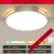 LED吸顶灯卧室灯客厅灯简约现代大气圆北欧餐厅阳台过道灯具 LK天*黑色30cm白光