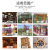 新照（XIN ZHAO）1KG 黑胡桃色环保水性木纹漆  木门木用油漆家具翻新改色木器漆木漆自刷水性涂料