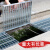 中诺九城热镀锌钢格栅排水沟格盖板 平台走道钢格板网格板集水井水槽盖板 宽200*长500*高20mm