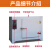 焊条烘干箱 400度500度600度高温恒温干燥箱模具电焊条工业试验烤 DHG500-4内部尺寸(80*80*100)