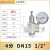 自来水不锈钢可调式稳压阀热水净水器水管道恒压阀DN20 DN15 带压力表