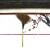 竹扫把农村老式竹丝扫帚笤帚户外庭院环卫通用大扫把扫院子 皮扎竹丝扫帚15长15米宽60厘米