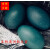 鸸鹋蛋新鲜受精可孵化澳洲鸵鸟蛋顺丰