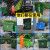 660L环卫分类带盖移动垃圾车小区物业垃圾箱工业桶 新料特厚款带盖绿色