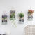 天南兄弟创意壁挂墙上装饰品挂件 水培植物花瓶 客厅房间卧室背景墙面布置 夏天小号