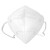 华特HT9510折叠防尘口罩（耳戴，10个装）共10包KN95防尘透气防飞沫雾霾口罩防工业粉尘防护用品