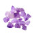 伊探紫水晶原石 紫水晶簇原石毛料消磁石碎石颗粒石头矿石鱼缸盆栽标 AAA级紫水晶簇100克