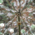 金树叶 野营迷彩遮阳伞 2.8m圆形岗亭遮阳遮雨带水桶底座 丛林色A
