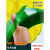 PET塑钢打包带1608净20kg纸心绿 色透明手工塑料捆扎包装带 绿色 191020公斤 约1000米 半透