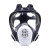 SHIGEMATSU日本重松 防尘面具 全面罩  喷漆矿山焊接打磨 TW088 1个 M码