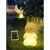 杉贝户外发光草坪灯卡通熊太阳能防水装饰花园动物别墅景观庭院氛围灯 充电款30CM-小熊/七彩遥控