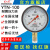 红旗牌仪表YTN-100/YN-100抗震压力表耐震压力表充油压力表真空表 0~0.4MPa