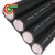 RVVP61芯0.5平方60+1国标铜网屏蔽隔离多芯电缆线现货 黑色 10m x 61芯 x 0.5平方毫米