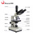 凤凰（Phenix）生物显微镜 专业高倍科学实验学生教学鱼病养殖猪精检测 XSP-36TV-1600倍 601263