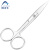 阿力牛 ASY-127 实验不锈钢剪刀 耐酸防锈手术剪刀 手术直尖12.5cm(2把装) 