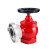天星 室内消火栓 消防栓SN65减压稳压室内消防栓消防器材 室内消防栓（定制）