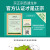 顶峰茶号2024新茶现货 西湖龙井茶 观圣AA 明前特级 杭州特产 小罐绿茶50g