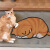 橘猫创意入户门垫丝圈防滑地垫进门口脚垫网红可爱地毯可定制 躺着的橘三胖 尺寸见图