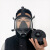 护力盾 MF14防毒面具 头戴自吸过滤式全面罩防尘防毒烟 定制款式前联系客服 