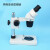 PDOK 双目体视显微镜放大镜工业显微检测仪7到45连续变倍10到40多档变倍解剖鉴定LED环形光源 10/30两档变倍显微镜