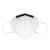 霍尼韦尔KN95口罩一次性 防雾霾PM.25防飞沫透气防工业粉尘防护口罩H910白色耳带式