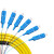 首千 SHOCHAN SQ-GSC-12 电信级单模光纤跳线尾纤 1.5米12芯SC束状尾纤 ODF单元体光纤机架网线配线