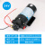 狮臣上海新西山微型高压隔膜泵自吸水泵DP-60直流泵12V24v喷雾高 DP-100-24V-带压力开关