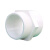 卓炫（ZHUOXUAN)   PVC给水管件 外螺直接 外丝直接 pvc管材 Φ25(50个装)