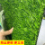 仿真草坪地毯幼儿园假草坪绿植人造人工塑料绿色草皮户外阳台装饰 2.0CM春草加厚特密 2米*21米 【10年】