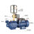 井水泵抽水器深水井抽水泵农村深井自吸泵大吸力井用高吸程 新一代自吸螺杆泵1100W-306