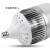 PULIJIE LED大功率节能灯螺旋灯泡白光暖光 E27-螺口鳍片款 白+30W