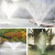 雨润 铜 礼花喷头 园艺水景景观喷泉喷头 花洒莲蓬头喷头（定制） SZ1250 DN8=2分
