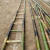定制适合竹梯子2米到3米4米5米6米7米绝缘工程电力直梯梯子幼儿园竹梯 1.5米竹梯2把