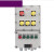EGFB  防爆箱  控制电源接线箱 单位：台 防爆等级:ExdIICT4控制回路7路 材质:铸铝