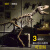【轻奢高端】化石标本 霸王恐龙骨骼骨架化石大型家居动物摆件橱窗装饰树脂工艺品 1.8米长 吊挂款