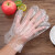 一次性手套薄膜卫生男女餐饮透明塑料手膜手套批发 厚款200只