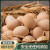 堆草堆 鲜鸡蛋 16枚 560g-672g 健康轻食 天然谷物饲养