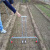 农用盖地膜工具手拉式覆膜机覆膜器铺膜机地膜覆盖机铺膜工具 0.6米-2米通用加厚款