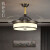 凯萨罗灯 风扇灯中式卧室餐厅现代简约全铜隐形吊扇灯大风力电扇灯CS9040 套餐A5【两厅】