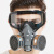 GJXBP防毒面具化工气体喷漆面罩甲醛异味防烟工业防尘农药活性炭口鼻罩 面具+白框眼镜+1对滤毒盒