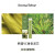 Aroma Sense花洒喷头滤芯韩国原装进口VC香氛除氯净水适用于AS-MIST 松木