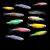鹃巴斑马鱼热带冷水小型鱼观赏鱼孔雀红绿灯灯科活体淡水好养耐活成鱼 综合混合练手大套餐共39只