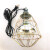 普力捷（PULIJIE） 保温灯套装取暖灯泡灯罩可调温度加热带线 调温开关+灯网+灯泡(250w)