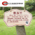 牌子树牌介绍公园定制植物插地绿化学校挂牌树木牌铭牌信息不锈钢 SP-07 10x7cm