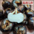 广西荔浦甜马蹄 荸荠新鲜 地栗地梨 即食现挖现发 水果脆甜无渣 5斤 小果/25个左右一斤